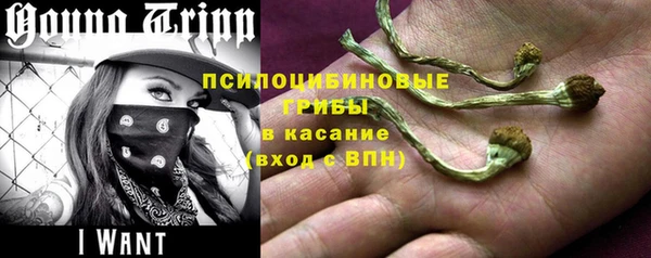 мет Горняк