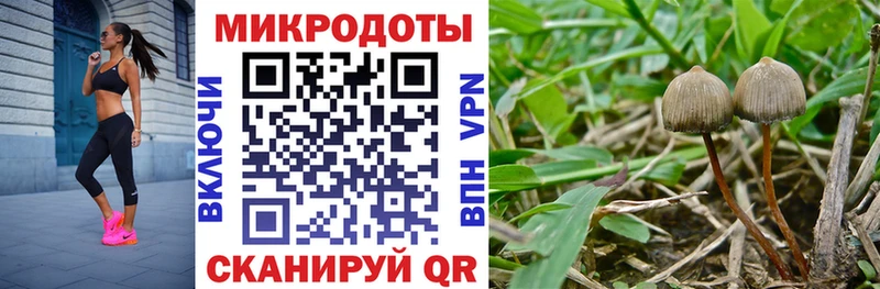 Псилоцибиновые грибы Magic Shrooms  как найти наркотики  Радужный 