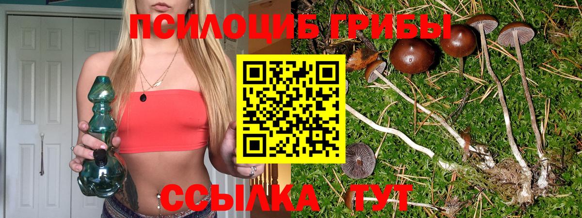 Галлюциногенные грибы Cubensis Радужный