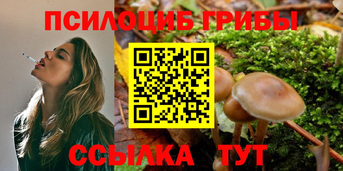 Радужный  Псилоцибиновые грибы GOLDEN TEACHER  Вход с VPN 
